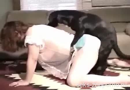 Жопастая русская домохозяйка изменила мужу с собакой